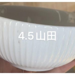 BOWL COLOR 4.5P